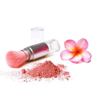 /69-175-thickbox/velvet-matte-minerals-blush-sample.jpg